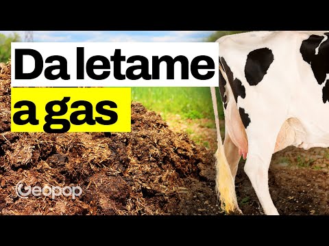 Energia dalla cacca degli animali: vi facciamo vedere come funziona un impianto di biometano