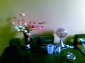 My place