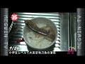 2011年MEGWIN TV アワード 第21位～30位 | MEGWINTV AWARD RANK 21 to 30