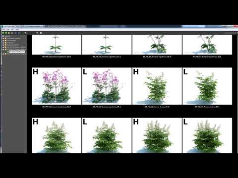 Quick Tip: How to Add Lib (ex: MaxTree) to Forest Pack Pro