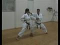 KARATE CALTANISSETTA HEIAN SANDAN BUNKAI (12)