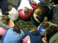 videos de Rebozo and Birth Ball Video 1