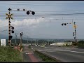 あまり聞かない音です。音が小さくなるときに微妙に「カーンカンカン...」とのびます。
