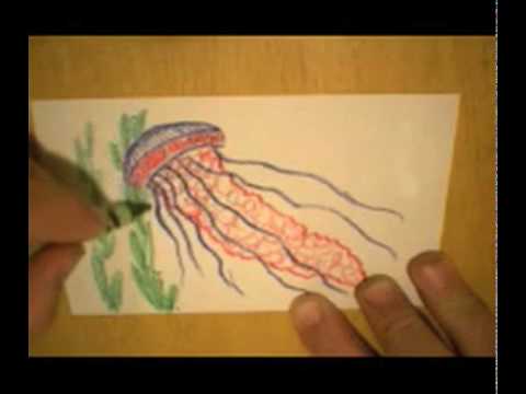 See video