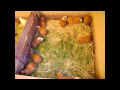 Distrito de Yaurisque - YouTube