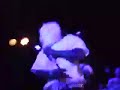 saul-williams-slims-cx-kidtronik.html