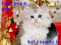 Meow