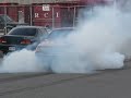 Crazy Cougar Burnout Crazy Cougar Burnout