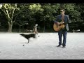 Possibly 4th St: Steve Wynn Does \"Kerosene Man\" in a Dog Run