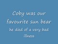 Coby the bear