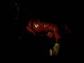 YLC Thriller
