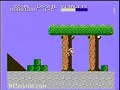 www.nesguide.com