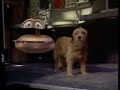 Benji, Zax and the Alien Prince (excerpt)