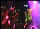 Beggars Opera Bar Fly Baby