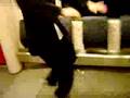Gerca Jumpen