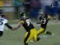 YouTube - SAMOAN SUPERMAN TROY POLAMALU GAME WINNING ...
