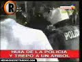 CronicaTV: Delincuente Trepo Arbol