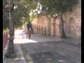 Guarda video