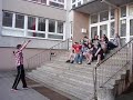 Schweinepest u. Rinderwarn Jördenstorf