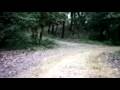 Dunax 400 ruta per bosc 1