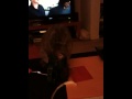 Snoop steals water