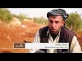 هذا الصباح- جبل الزاوية بإدلب عنوان الزيتون السوري -Views : 0