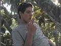 Tree Dream