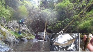 イワナやヤマメに遊んでもらう、奥多摩大丹波川