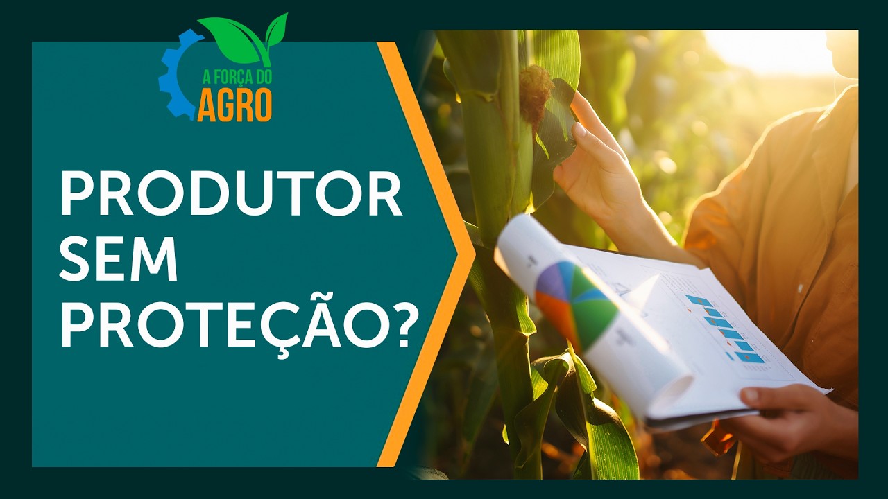 Por que o seguro agrícola no Brasil é caro?  | A Força do Agro, com Joice