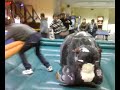 andrea sul toro.mp4