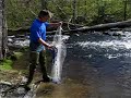 Eastern River Alewife Run Eastern River Alewife Run