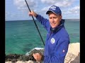 Penn 980 vs Daiwa 7ht mag