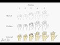 Opening/Closing Hand Animation