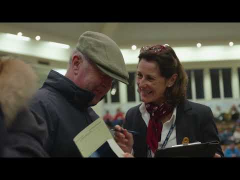 Tattersalls December Mares Sale Day 4 2018