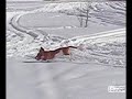 Wintertime Fun