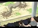 Neji Redefines Pain
