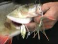 OutlawSpinnerbaits - red fin