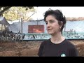 IFAW: Largest Release of Penguins in Brazil.