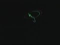 T-Rex Heli at Night!