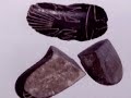 Las piedras representan una amplia variedad de escenas: dinosaurios, tecnología avanzada, cirugías, mapas, y hasta pornografía. Si bien estas escenas pueden ser ambiguas, muestran conocimientos de cosas que, según la ciencia moderna, son totalmente anacrónicas (ver Oopart). Todo esto ha llamado la atención de gente que tiende a dudar de la ciencia moderna, como los creacionistas, los que buscan justificaciones históricas para la mitología, o los creyentes en la ufología.

Cabrera describió muchas de las escenas en un ensayo, para poder contar la historia de la supuesta civilización que, según él, había creado las piedras. Creía que estas tecnologías antiguas pertenecieron a lo que él llamó el Hombre de Gliptolithic, una supuesta raza extraterrestre. Según la historia descrita por Cabrera, esta raza habría llegado hace mucho tiempo, el suficiente como para coexistir con los dinosaurios, y creó genéticamente al hombre moderno. Algún tiempo después, se habrían marchado a otro planeta, utilizando las cercanas líneas de Nazca como pista de aterrizaje, antes de que ocurriera alguna catástrofe.

En la actualidad aún sigue el comercio de piedras que pueden encontrarse en Lima, Ica, Ocucaje, Santiago y otros municipios del departamento de Ica. La mayor colección de piedras puede verse en Ica, en la plaza de armas de la ciudad, previa cita telefónica con Enma, la secretaria del difunto doctor Javier Cabrera Darquea.