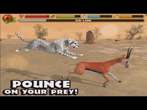 CHEETAH +