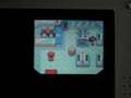 Little Bro How to catch DARKRAI