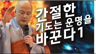 법담스님(BTN tv)의 간절한 기도는 운명을 바꾼다