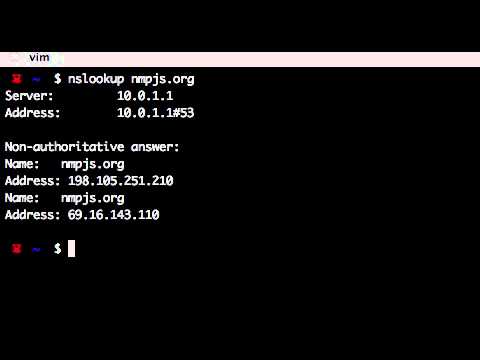 how to nslookup on mac