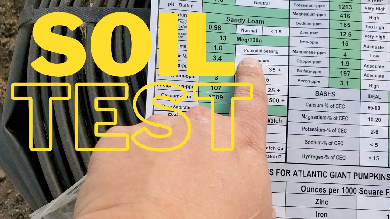 Soil Test and 3 'quick' things.