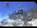 SCUBA DIVING IN COZUMEL (4/4) CHANKANAAB REEF