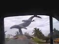 Insane Taxi Ride to Puerto Vallarta
