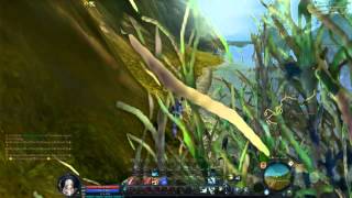 aion quest wedding ring