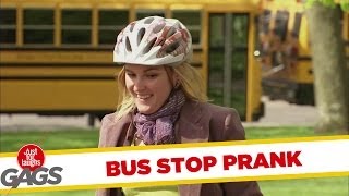 Cây ăn thịt người ở bến xe bus