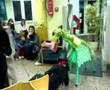 ROOM ON THE BROOM 2